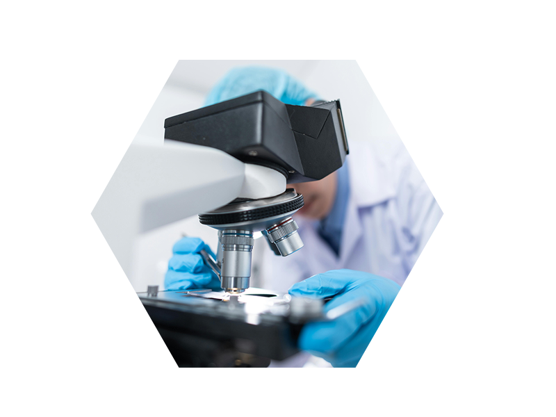 About Us -- Decoration Image 1